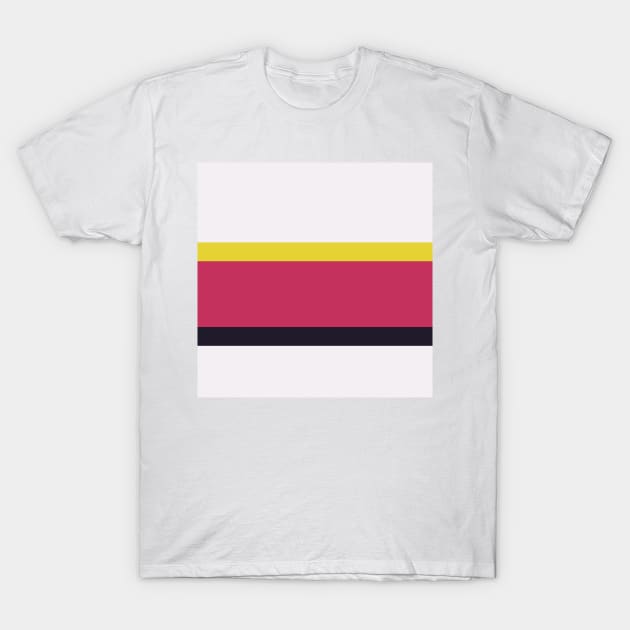 A subtle association of Anti-Flash White, Dark, Almost Black, Dingy Dungeon and Sandstorm stripes. T-Shirt by Sociable Stripes